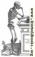164. Skeleton with Skull