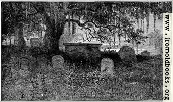 Romantic and Atmospheric Graveyard
