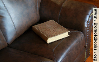 Victorian book on leather couch